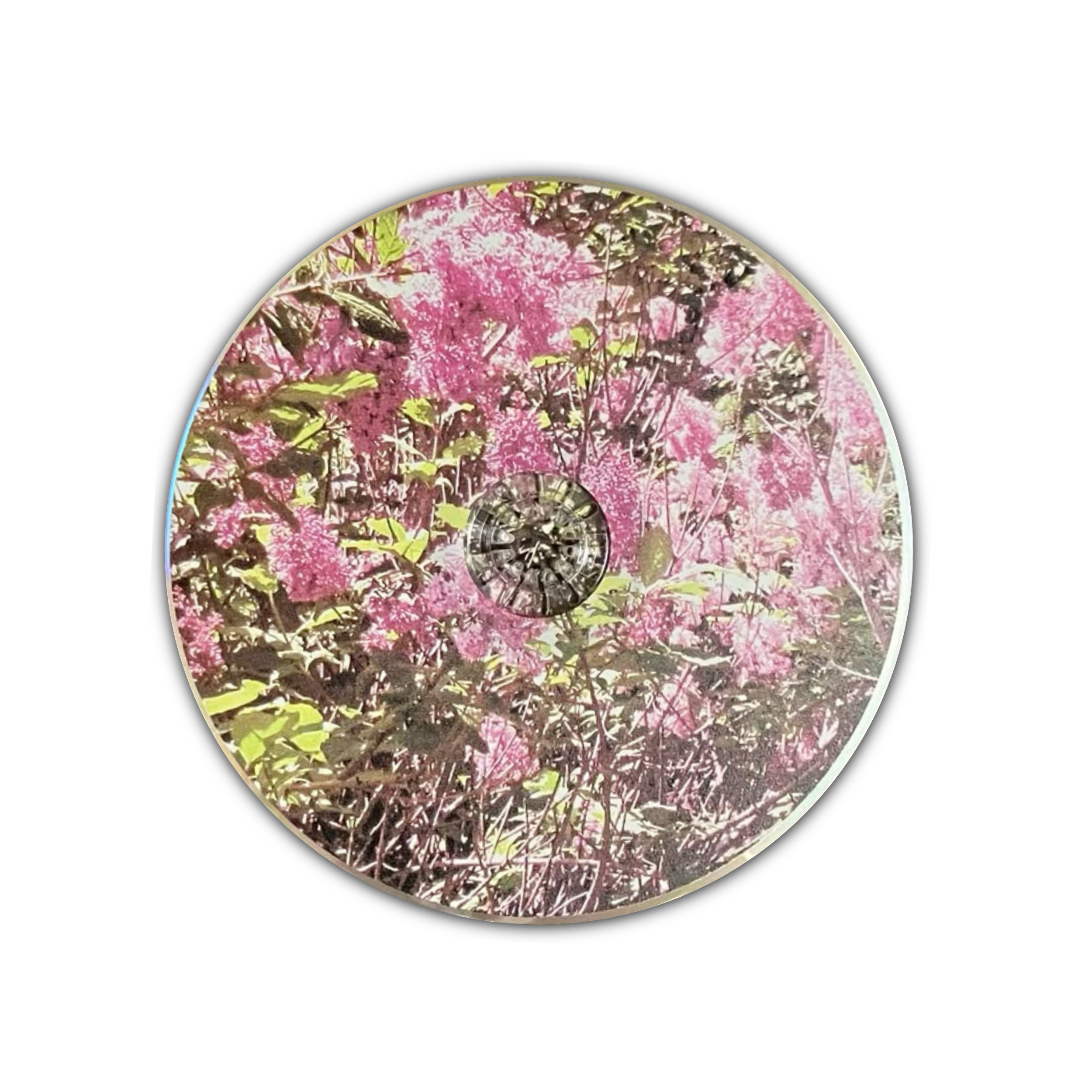 VV Exclusive: Natural Born Losers by Nicole Dollanganger // CD VV Exclusive: Natural Born Losers by Nicole Dollanganger // CD